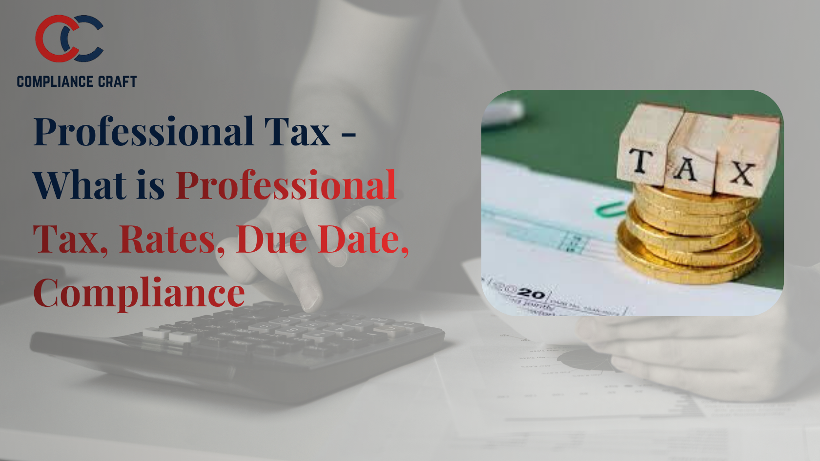 Professional Tax